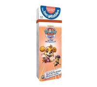 PlayBac – Les incollables – Mon année Toute Petite Section Pat' Patrouille – 120 questions-réponses