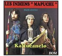 Les Indiens Mapuche Du Sud Chili