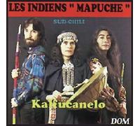 Les Indiens Mapuche Du Sud Chili