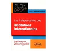 Les Indispensables Du Droit Des Institutions Internationales
