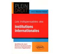 Les Indispensables Du Droit Des Institutions Internationales