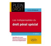 Les Indispensables Du Droit Pénal Spécial