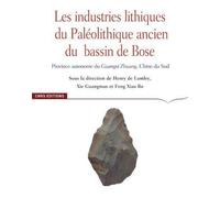 Les industries lithiques du Paléolithique ancien du Bassi, de Bose Henry De Lumley (Directeur éditorial), Xie Guangmao (Directeur éditorial), Fang Xiao Bo (Directeur éditorial)