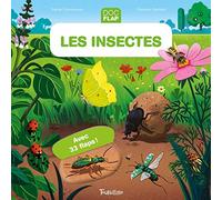 Les insectes