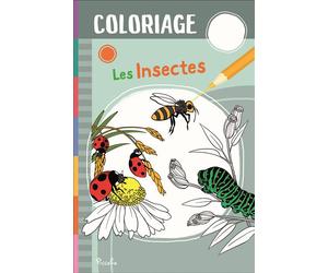 Les insectes - Coloriage - Elodie Berthon - Piccolia - broché - Document jeunesse