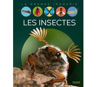 Les insectes - Emilie Beaumont - Fleurus - cartonné - Document jeunesse