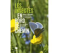 Les Insectes en bord de chemin