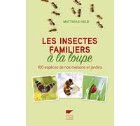 Les insectes familiers à la loupe: 100 espèces de nos maisons et jardins