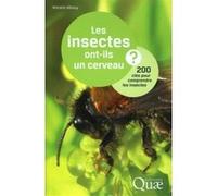 Les Insectes Ont-Ils Un Cerveau ? - 200 Clés Pour Comprendre Les Insectes