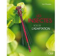 Les insectes: Rois de l'adaptation