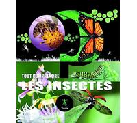 Les insectes - Tout comprendre