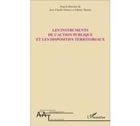 Les instruments de l'action publique et les dispositifs territoriaux Jean-Claude Némery (Auteur), Fabrice Thuriot (Auteur)