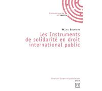 Les Instruments de solidarité en droit international public - Marie Bouriche - Publibook - broché - Etude