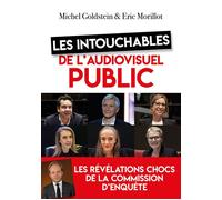 Les intouchables de l'audiovisuel public Les révélations chocs de la commission d'enquête - Michel Goldstein - L'artilleur - broché - Essai