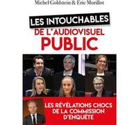 Les intouchables de l'audiovisuel public Michel Goldstein (Auteur), Eric Morillot (Auteur)
