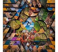 Les Jardins Mystiques Vol.1