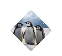 Les jeunes pingouins avec de la neige sont durables, frais, beaux et pratiques