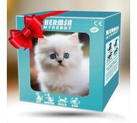 Les Jouets Chaton Robotique AI Réalistes Le Jouet pour Chats Réalistes， Apporte Une Joie Et Chaleur Robot Chat en Peluche Interactif Adultes comme Un Vrai Marche White