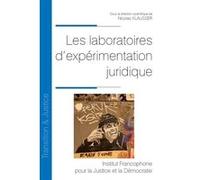 Les laboratoires d'expérimentation juridique Nicolas Klausser (Auteur)