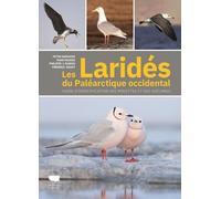 Les Laridés du paléarctique occidental Guide d'identification des mouettes et des goélands - Peter Adriaens - Delachaux et niestlé - broché - Guide