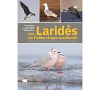 Les Laridés du paléarctique occidental Peter Adriaens (Auteur), Mars Muusse (Auteur), Frédéric Jiguet (Auteur), Philippe Dubois (Auteur)