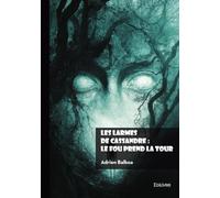 Les larmes de Cassandre : Le fou prend la Tour