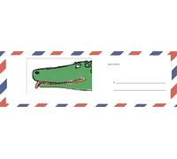 Les larmes de Crocodile - André François - Delpire - broché - Album jeunesse dès 3 ans