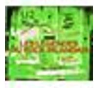 Les légendes du rock irlandais