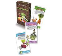 LES LEGUMES - JEU DES 7 FAMILLES