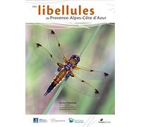 Les Libellules De Provence-Alpes-Côte D'azur