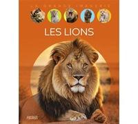 Les lions Cathy Franco (Auteur)
