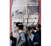 Les loups aiment la brume: Enquête sur les opérations clandestines de la Turquie en Europe