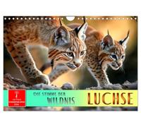 Les lynx - la voix de la nature sauvage, Version française (Calendrier mural 2026 DIN A4 portrait), Calendrier CALVENDO mensuel