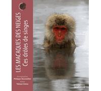 Les Macaques Des Neiges - Ces Drôles De Singes