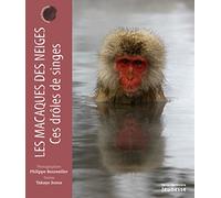 Les macaques des neiges: Ces drôles de singes