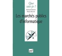 Les marchés publics d'informatique