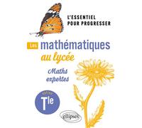 Les mathématiques au lycée - Option Maths expertes Terminale L'essentiel pour progresser - Michel Lion - Ellipses - broché - Scolaire / Universitaire