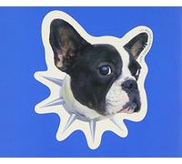 Les Mauvais Garconnes - Idol Wo Sagase-La Plus Belle pour Aller Danser [Import]