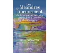 Les Méandres de l’inconscient - Ou la magie des énergies psychiques à l’œuvre chez l’humain