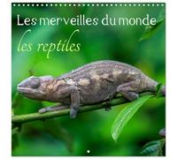 Les merveilles du monde les reptiles (Calendrier mural carré 2026 30x30 cm) Calendrier double avec une page pour vos prises de notes: Portraits variés de reptiles caméléons, geckos, et iguanes