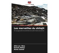 Les merveilles du shilajit: Un voyage dans les bienfaits de cette résine ancienne