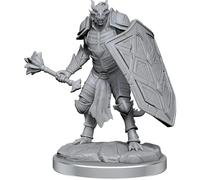 Dungeons & Dragons Nolzur`s Merveilleuses miniatures non peintes : W18 Dragonborn Clercs