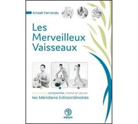 Les merveilleux Vaisseaux : rencontrer, comprendre, mettre en oeuvre les Méridiens Extraordinaires - Amaël Ferrando - Edoya - broché - Guide