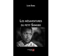 Les Mésaventures Du Petit Somgbo