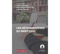 Les Métamorphoses du droit civil Colloque anniversaire pour célébrer les vingt ans du Laboratoire de droit civil de l'université Paris-Panthéon-Assas - Antoine Touzain - Panthéon-Assas - broché - Essa