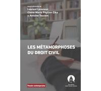Les Métamorphoses du droit civil: Colloque anniversaire pour célébrer les vingt ans du Laboratoire de droit civil de l'université Paris-Panthéon-Assas