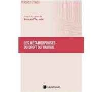 Les Métamorphoses Du Droit Du Travail