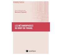 Les métamorphoses du droit du travail - Bernard Teyssié - LexisNexis - broché - Etude