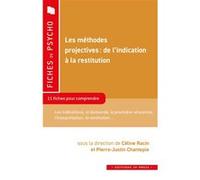 Les Méthodes Projectives - Les Grandes Étapes : De L'indication À La Restitution