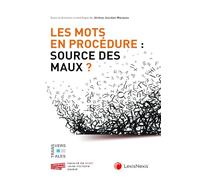 Les mots en procédure : source des maux ?